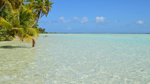 Pourquoi pas la bretagne : vos astuces pour un séjour réussi !